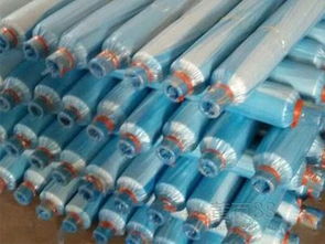 網(wǎng)絡(luò)工程膜 技術(shù)革新與應(yīng)用前景深度解析